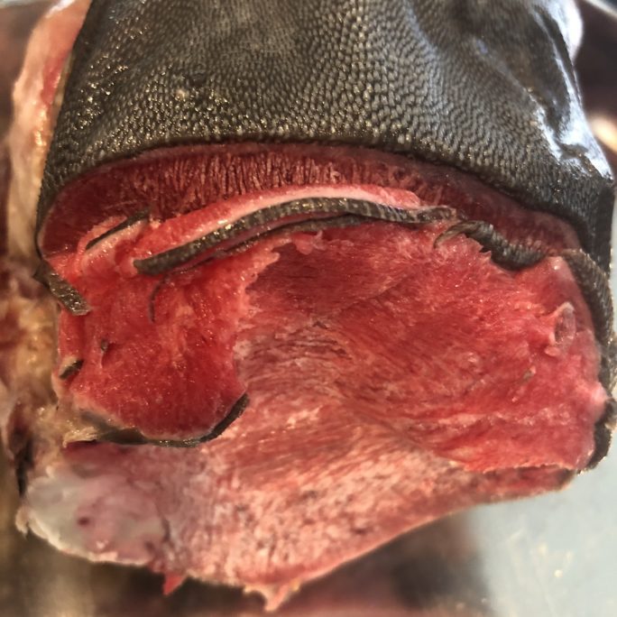 California Grass-Fed and Finished Beef Tongue- 2 lbs Packs
