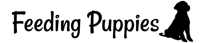 caloric feeding for puppies