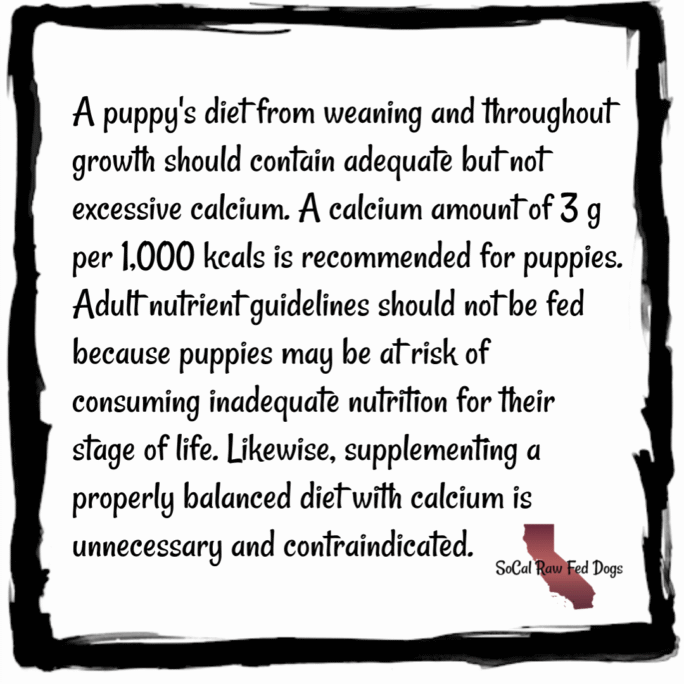 Appropriate Nutrition for Large & Extra-Large Breed Puppies