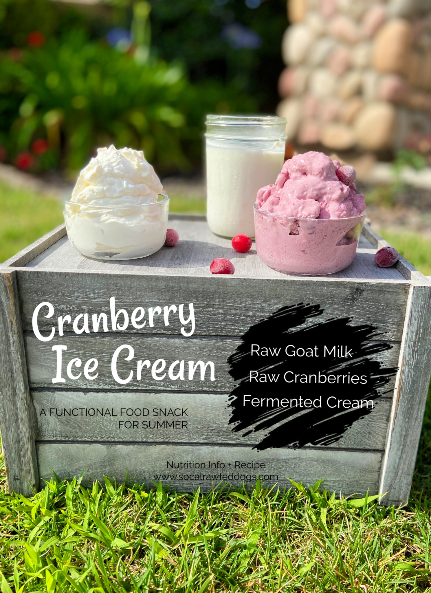 cranberry ice cream • Antioxidant + Gut Support